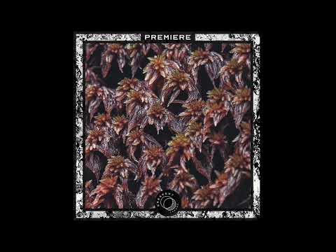 PREMIERE: Polygonia - Quisanea (Original Mix) [CODX001]