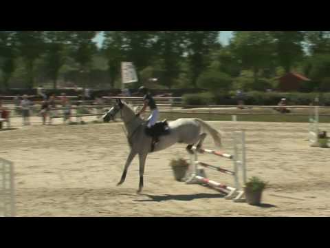 Orson d'Ysieux - cso championnat de france - club elite senior jeune senior - 19/07/16