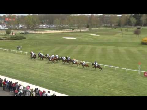 KV, 30. 4. 2016, 6. dostih - Dostih Frey Consulting - Frey Consulting Rennen