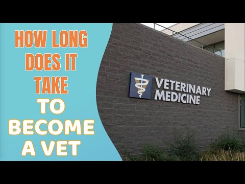 How long does it take to become a Vet?