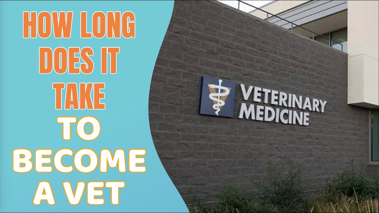 How long does it take to a veterinarian in California? More REF