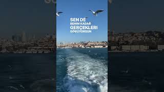 Sezen Aksu -Biliyorsun  #lyrics