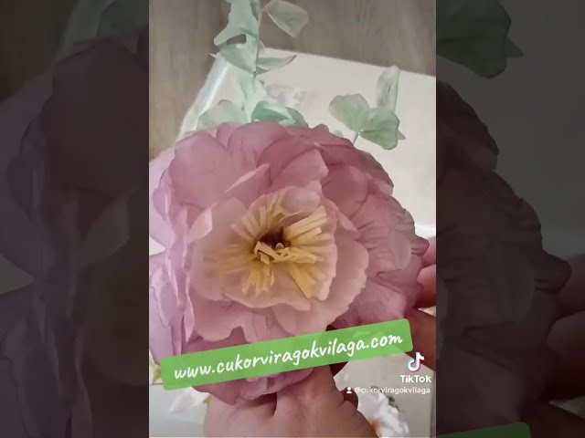 Miből készül az ostyavirág? Cukorvirágok Világa