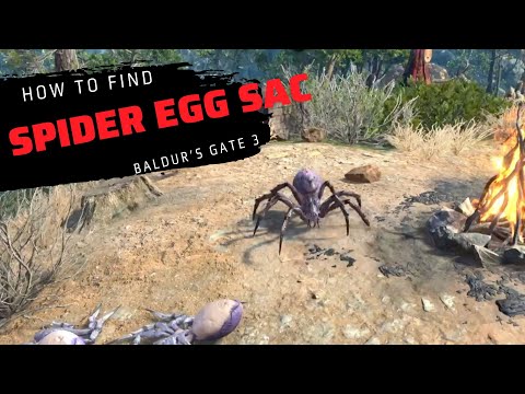 How to find Spider egg sac in Baldur's Gate 3