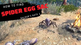 How to find Spider egg sac in Baldur's Gate 3