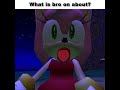 WHAT DID HE SAY Sonic Memes