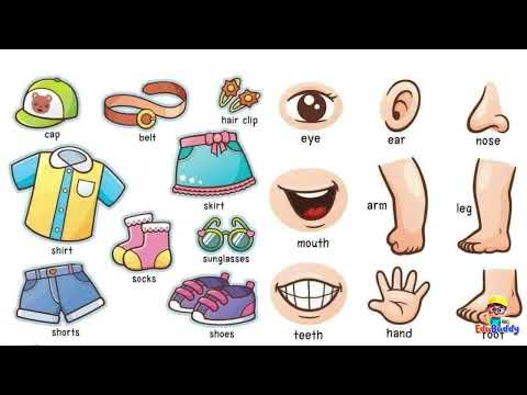 BBM Cikgu Bahasa Inggeris