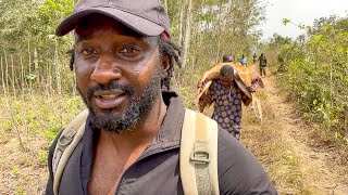 The Untold Story Of how Nigerian/African Hunters Hunt Bushmeat Ep5 - Hunting With Abeokuta Hunters