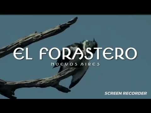 El forastero 🌾🏕 chacarera (fauna y flora autóctonas) formosa 