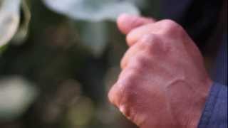 Cuate's Eviction Short