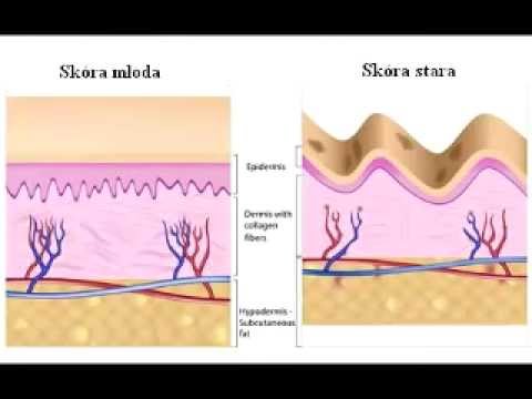 Maska na sucho włosy Najlepsze produkty dla włosów z rozdwajaniu