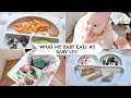 WHAT MY BABY EATS #2 || BABY LED WEANING || 7 MONTHS OLD
