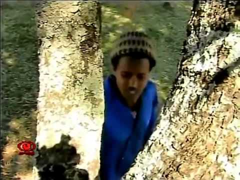 New Ethiopian music 2014 Ashenafi Kebede Lebura