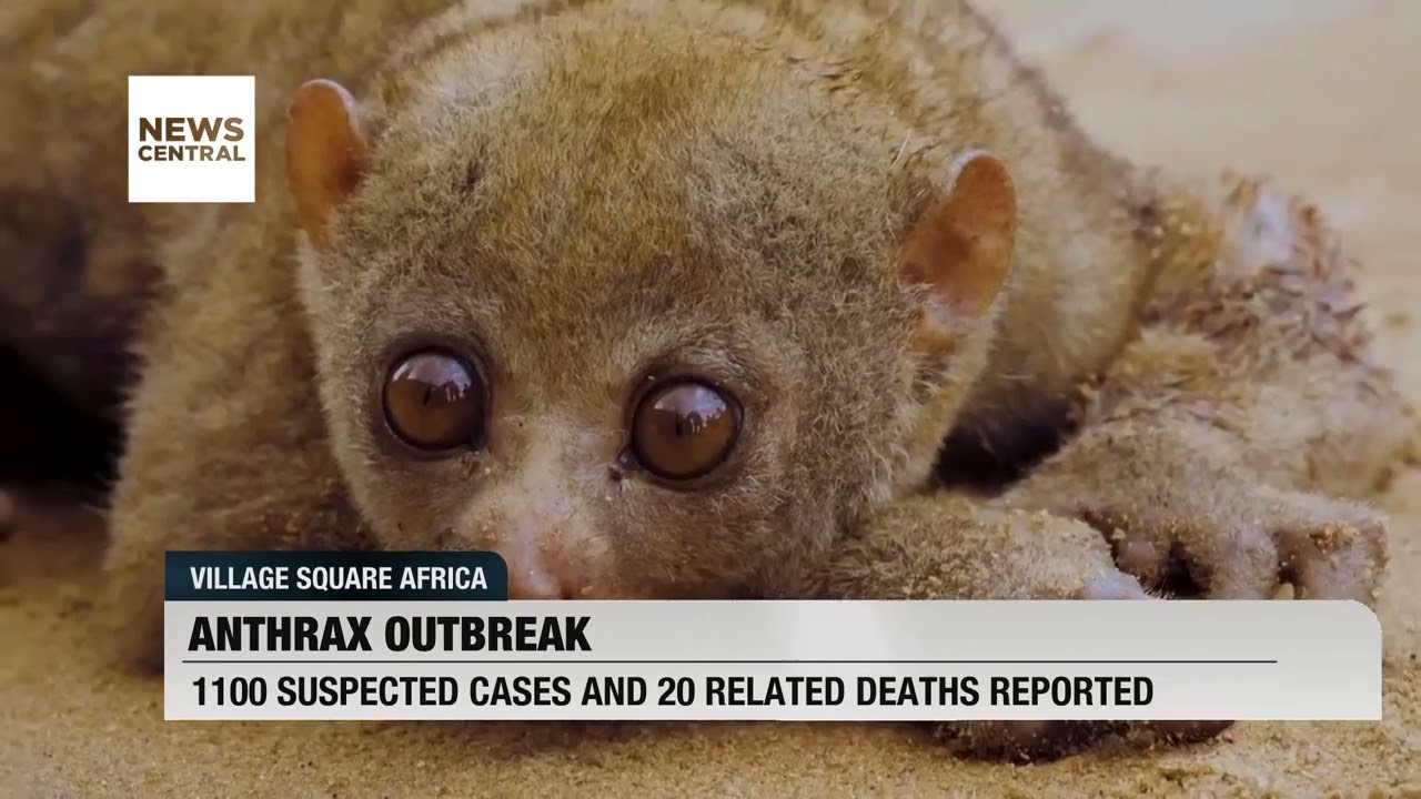 Anthrax Outbreak: Over 1100 Cases Recorded in Five African Countries | VSA