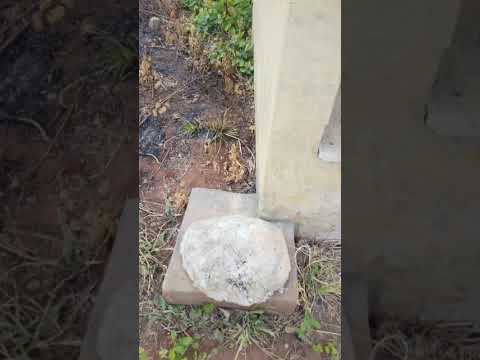 Newly built 3 unit of mini flat on full plot of land for sale@Sango Otta, Ogun state.