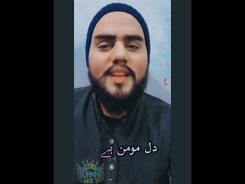sibgha name best tiktok video status KING MS.NO(138)