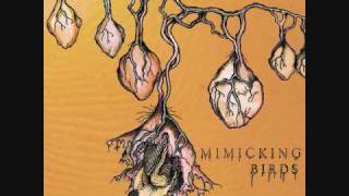 Remnants and Pictures by Mimicking Birds