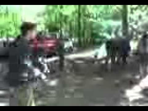 old brains kan party