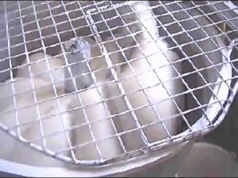 Image de prévisualisation YouTube