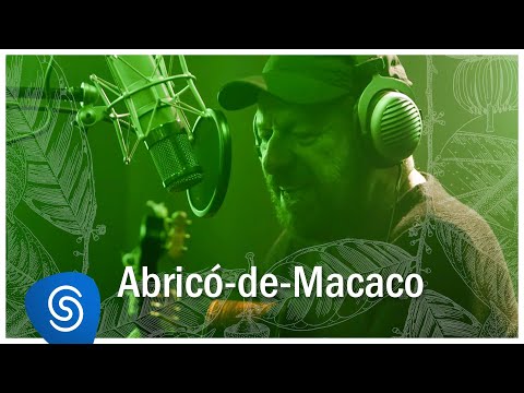 João Bosco - Abricó-de-Macaco (Álbum Abricó-de-Macaco) [Clipe Oficial] online metal music video by JOÃO BOSCO