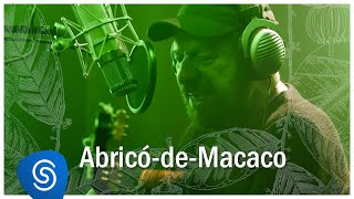Abricó-de-Macaco Music Video