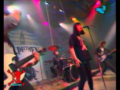 Les Specimen - Guatemala