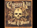 Cypress Hill 01 Valley Of Chrome (Bones)-Skull ...