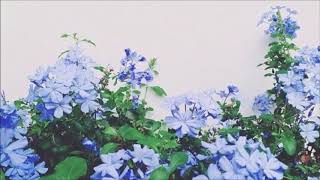 6/10 - dodie (karaoke/instrumental version)