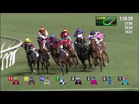 24/3/2021 (532) More Than Enough - N Callan