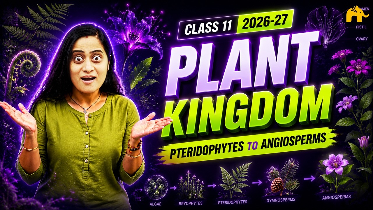 Plant Kingdom Class 11 Biology NCERT Chapter 3  #2 |CBSE | Pteridophyta , Gymnosperms & Angiosperms