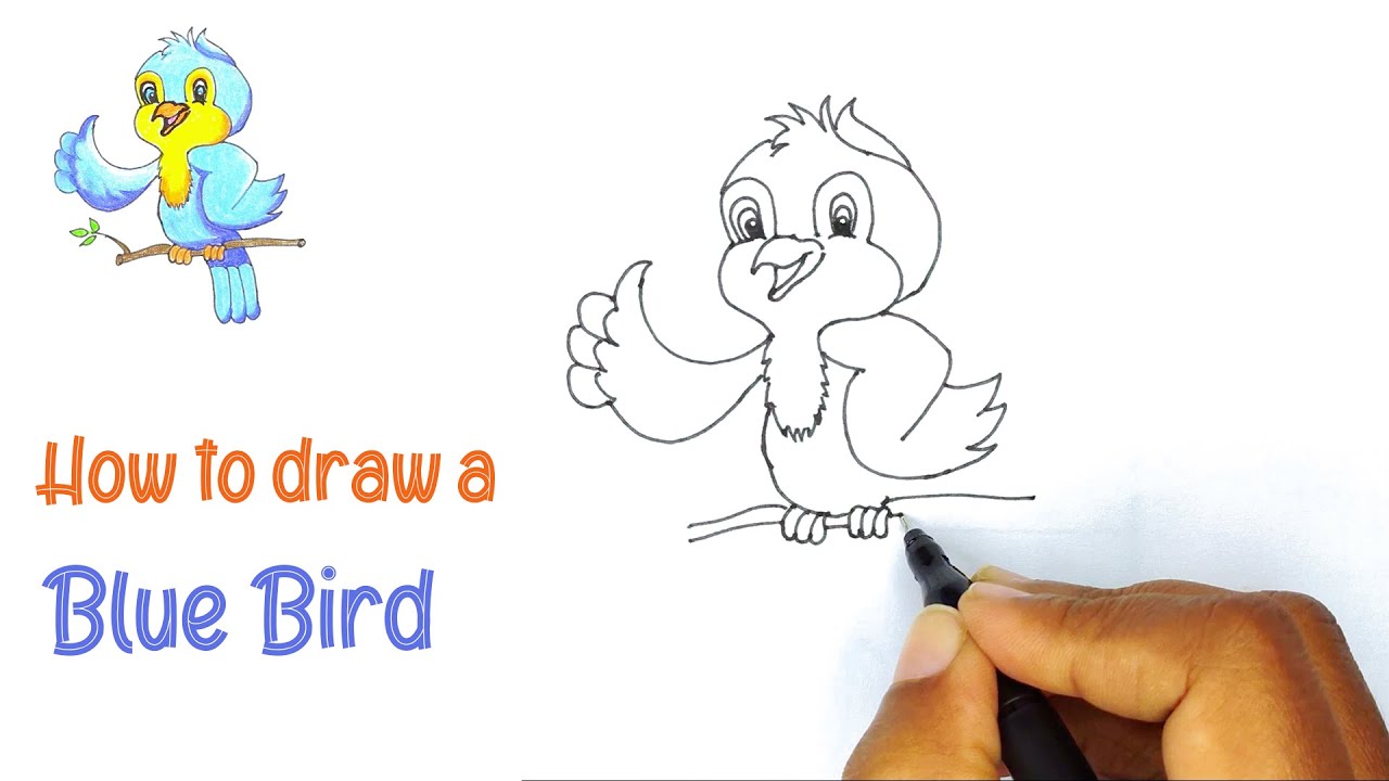 Cartoon Blue Bird Drawing and Coloring | Cartoon Characters Drawing | 4K