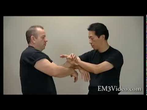 Wing Chun Vol 2 CHUM KIU DVD series by Samuel Kwok