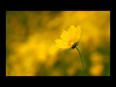 Dave Shtorn - Lost Chords (Original Mix)