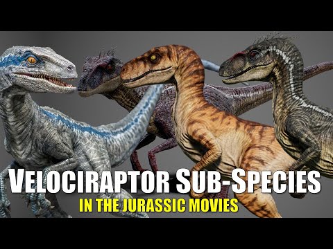 4 Subspecies or Breeds of Velociraptors in Jurassic Movies