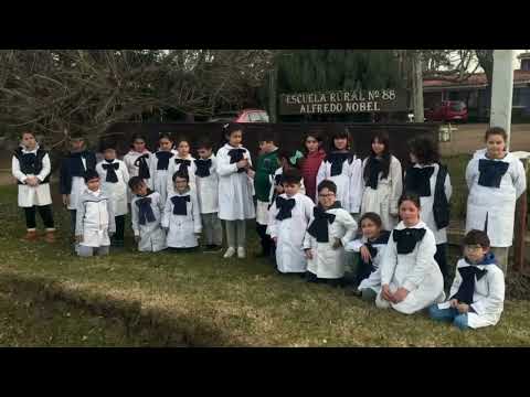 Club de ciencia P.L.U (presentación)