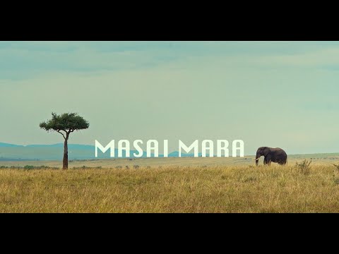 Masai Mara - Held by the wild | Prathima Desu