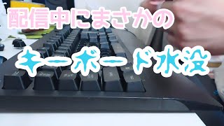 【悲惨】配信中の悲劇