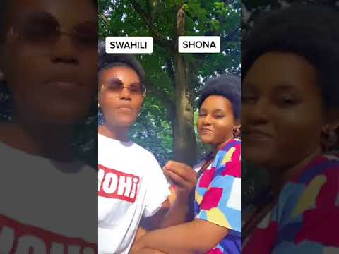 Language Tag: Swahili vs Shona