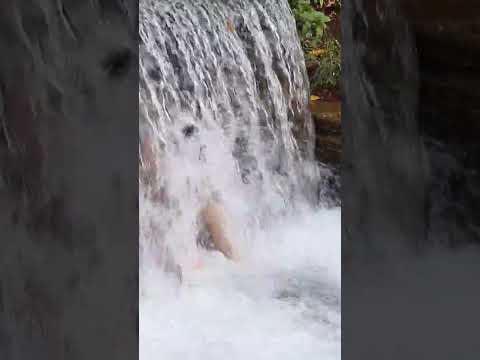 Mergulho na cachoeira em Chapada dos Guimarães Mato Grosso