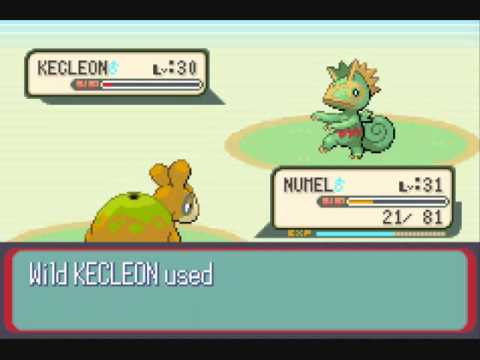 Let's Play Pokemon Ruby Part 30: So many trainers....and berries....