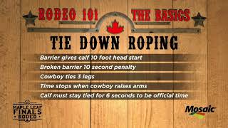Rodeo 101 - Tie Down Roping