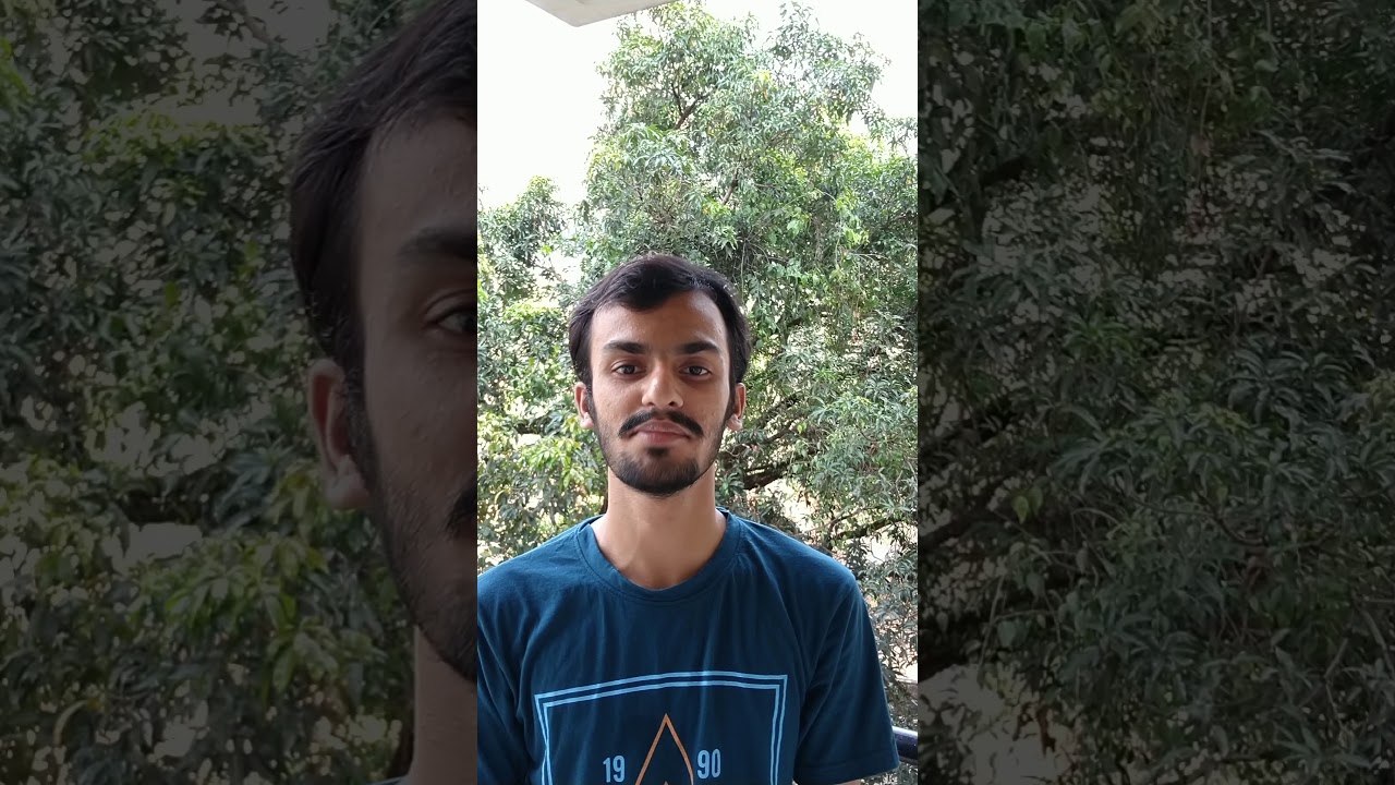 Google  Developer Student Club (DSC) Lead Application 2020 | Vineeth Krishna K|