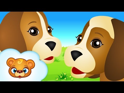 Pieski małe dwa + zestaw piosenek dla dzieci po polsku