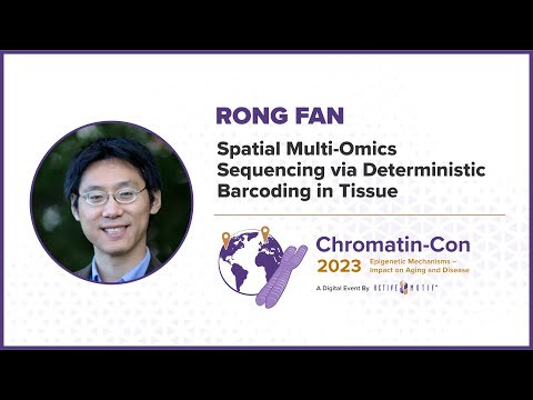 Chromatin-Con 2023 - Session 2 Epigenetics of Cell Heterogeneity and Loss of Identity - Dr. Rong Fan