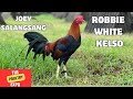WGE 2025 Joey Salangsang Dr Nilo Magtibay