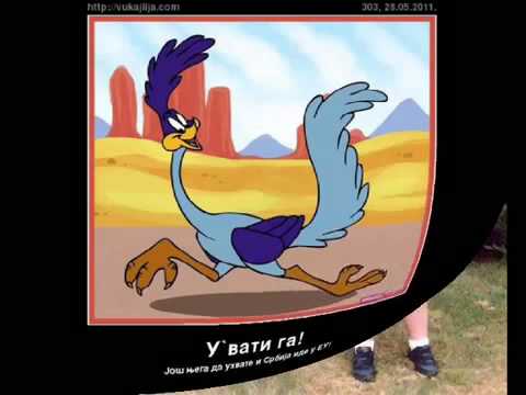 Dragana Vasic - Stradija