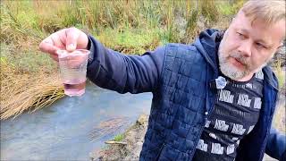 Чёрный сок из березы и красные ручьи: Кинешма живет на химическом минном поле?