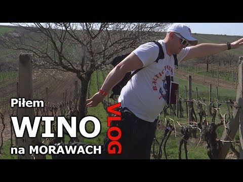 Piłem WINO na Morawach | Wszystko o Winie
