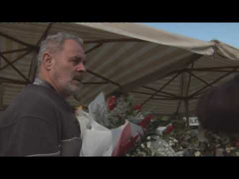 Die Baureihe 151 Teil 4/4