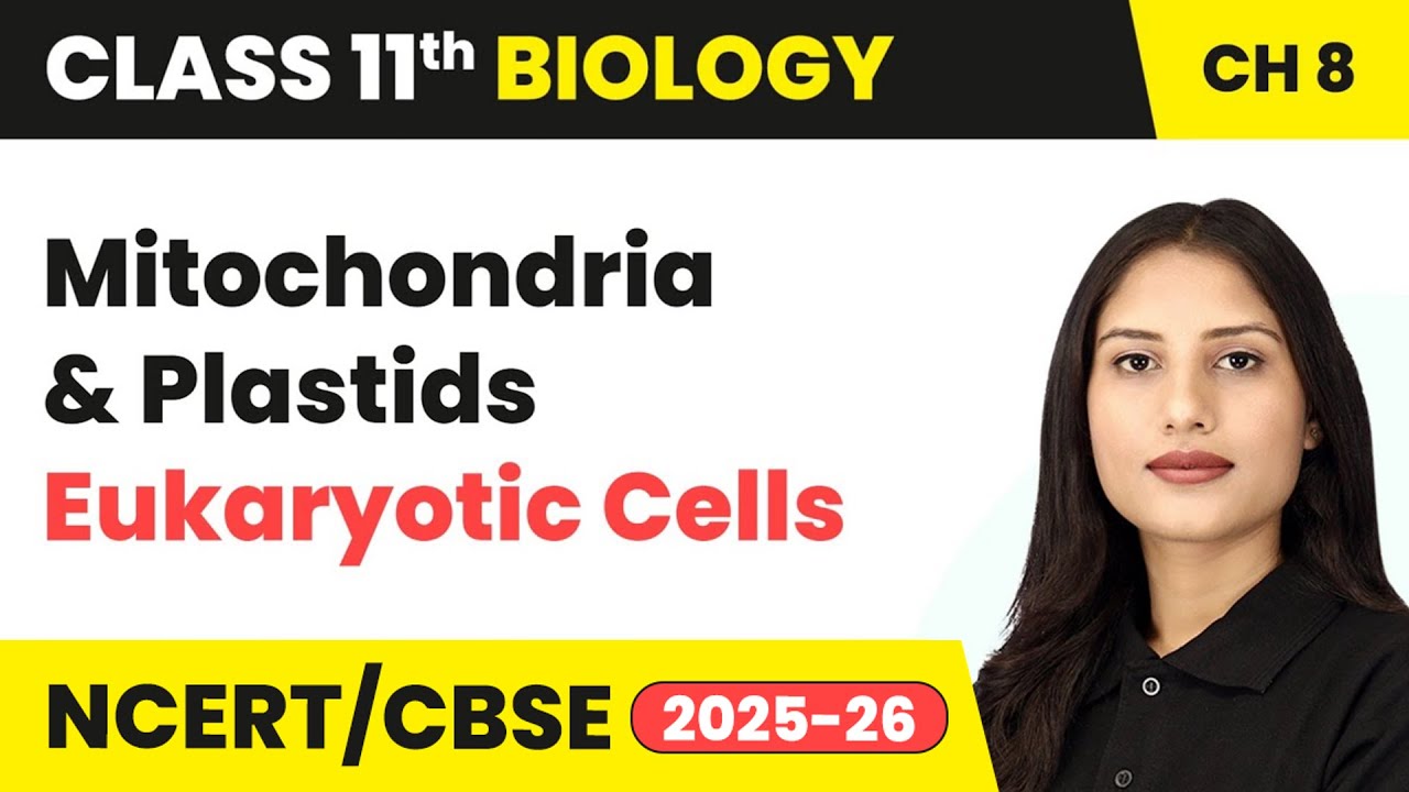 Mitochondria and Plastids - Eukaryotic Cells | Class 11 Biology Chapter 8 | CBSE 2024-25